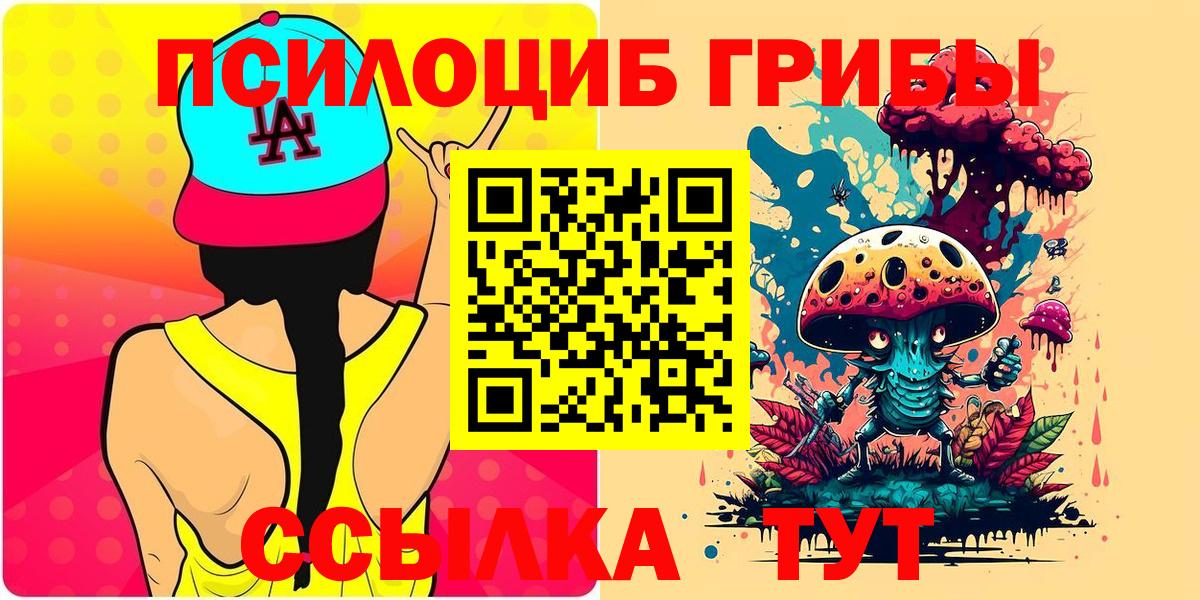 Заинск  Галлюциногенные грибы мухоморы  Галлюциногенные грибы мицелий  Вход с VPN 