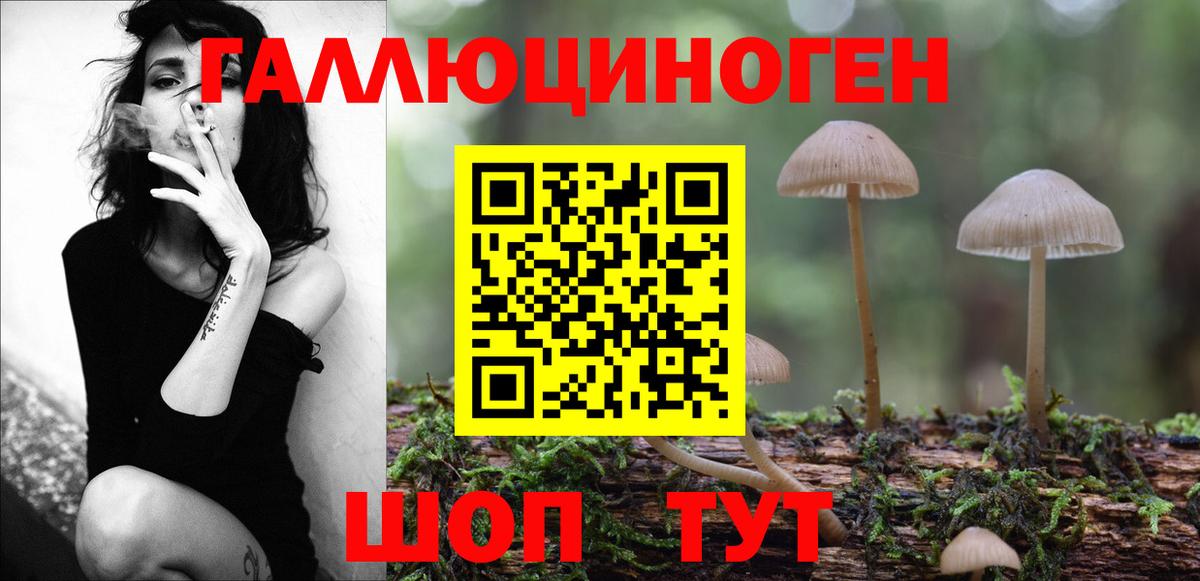 Галлюциногенные грибы Psilocybe Заинск